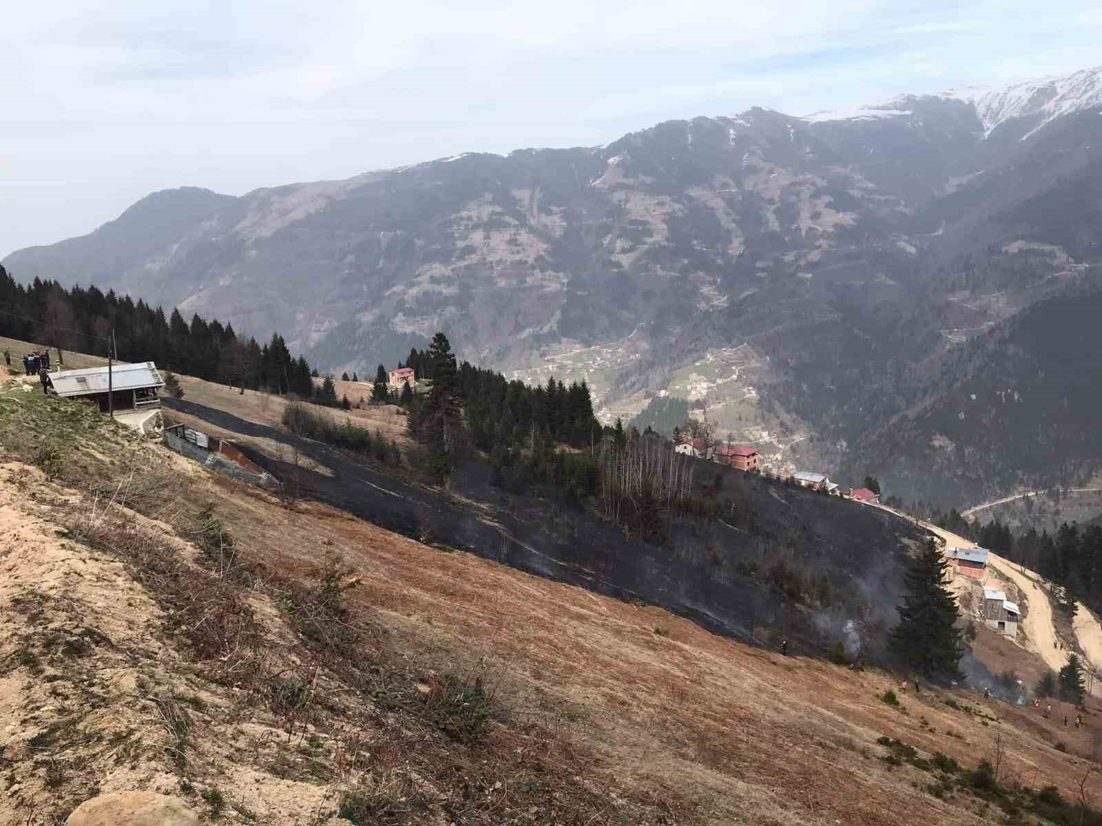 Trabzon’da orman yangını