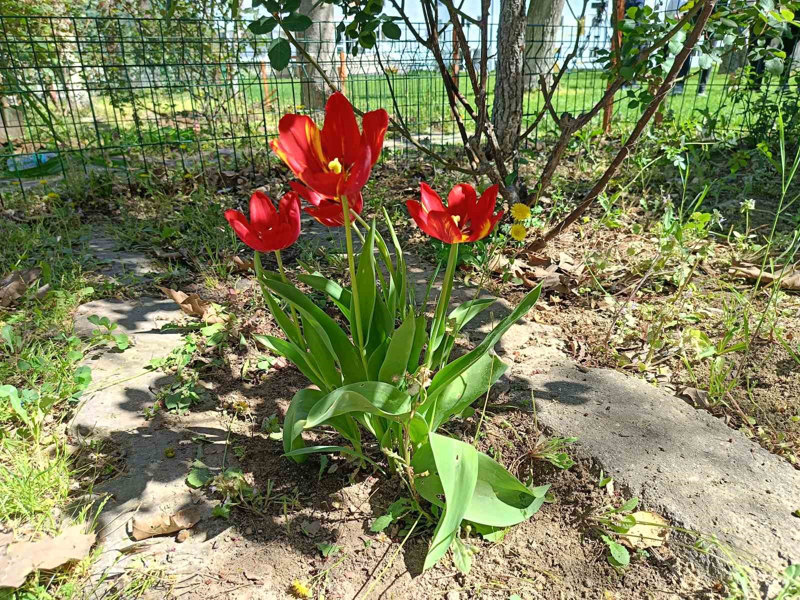 Lise &ouml;ğrencilerinden &ccedil;evre dostu proje
