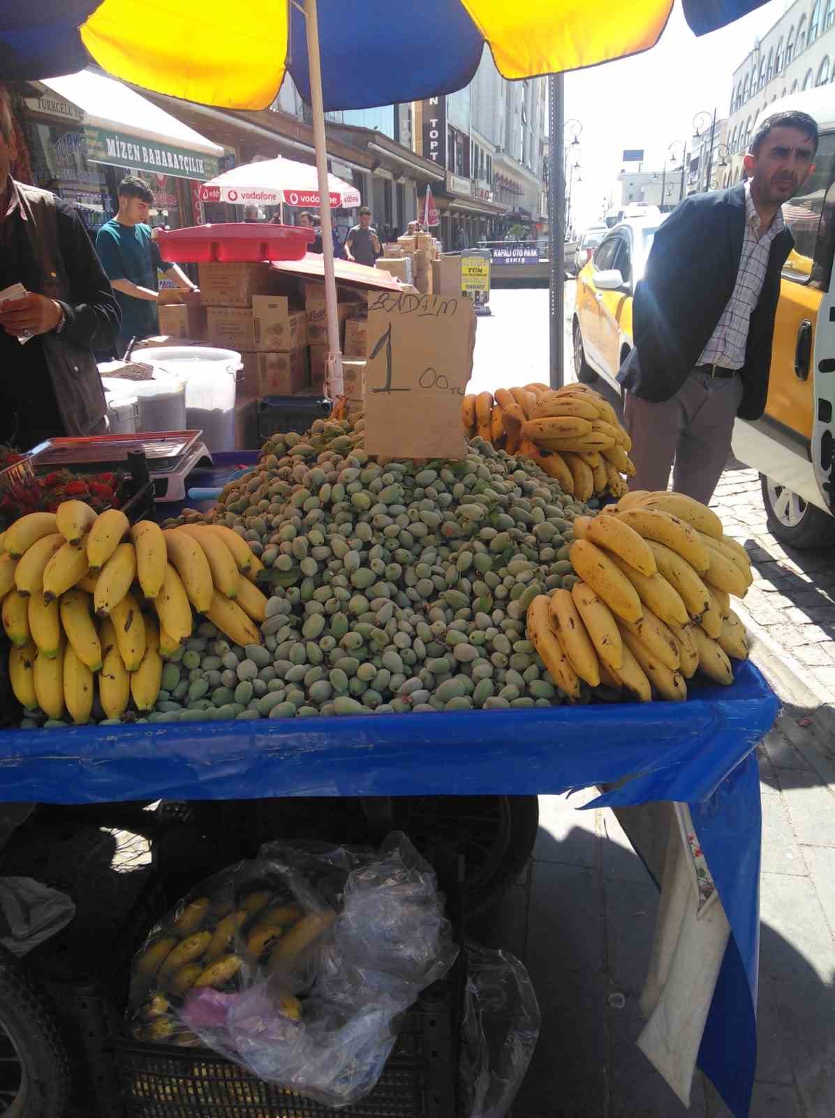 Diyarbakır’da tezgaha çıkartılan çağla 100 liradan satılıyor
