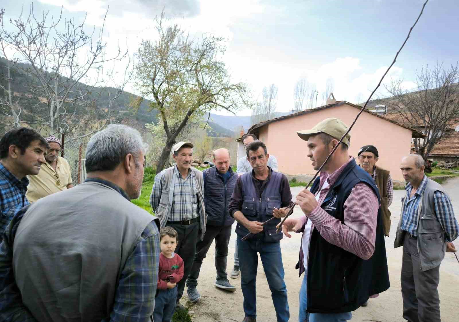 Emet’te meyve üreticilerine budama ve aşılama eğitimi