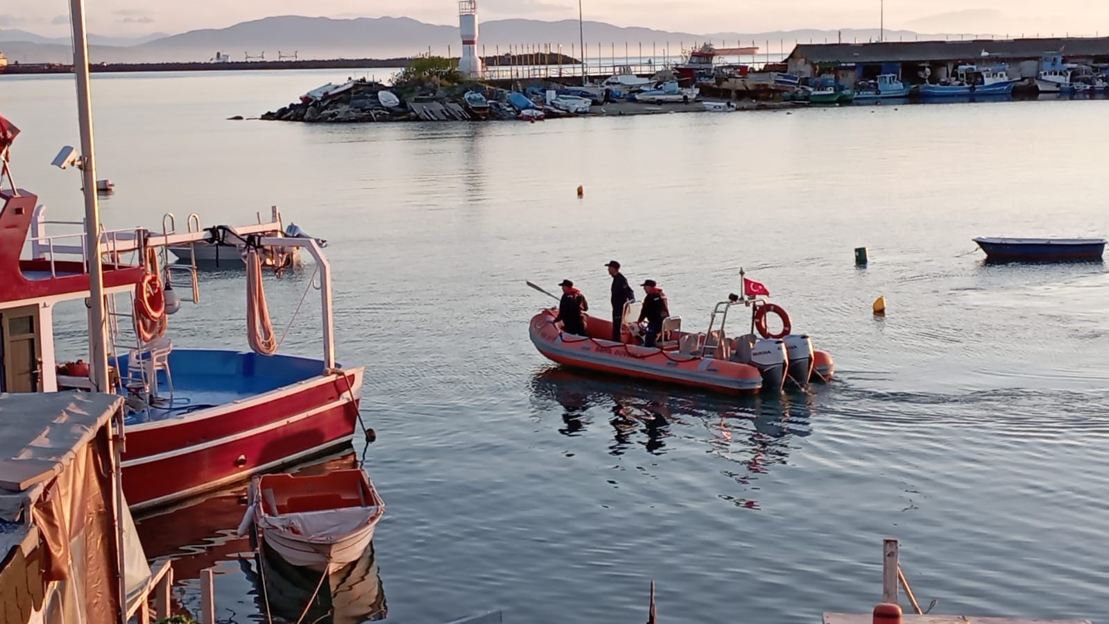 Yolunu şaşıran yavru yunus kurtarıldı