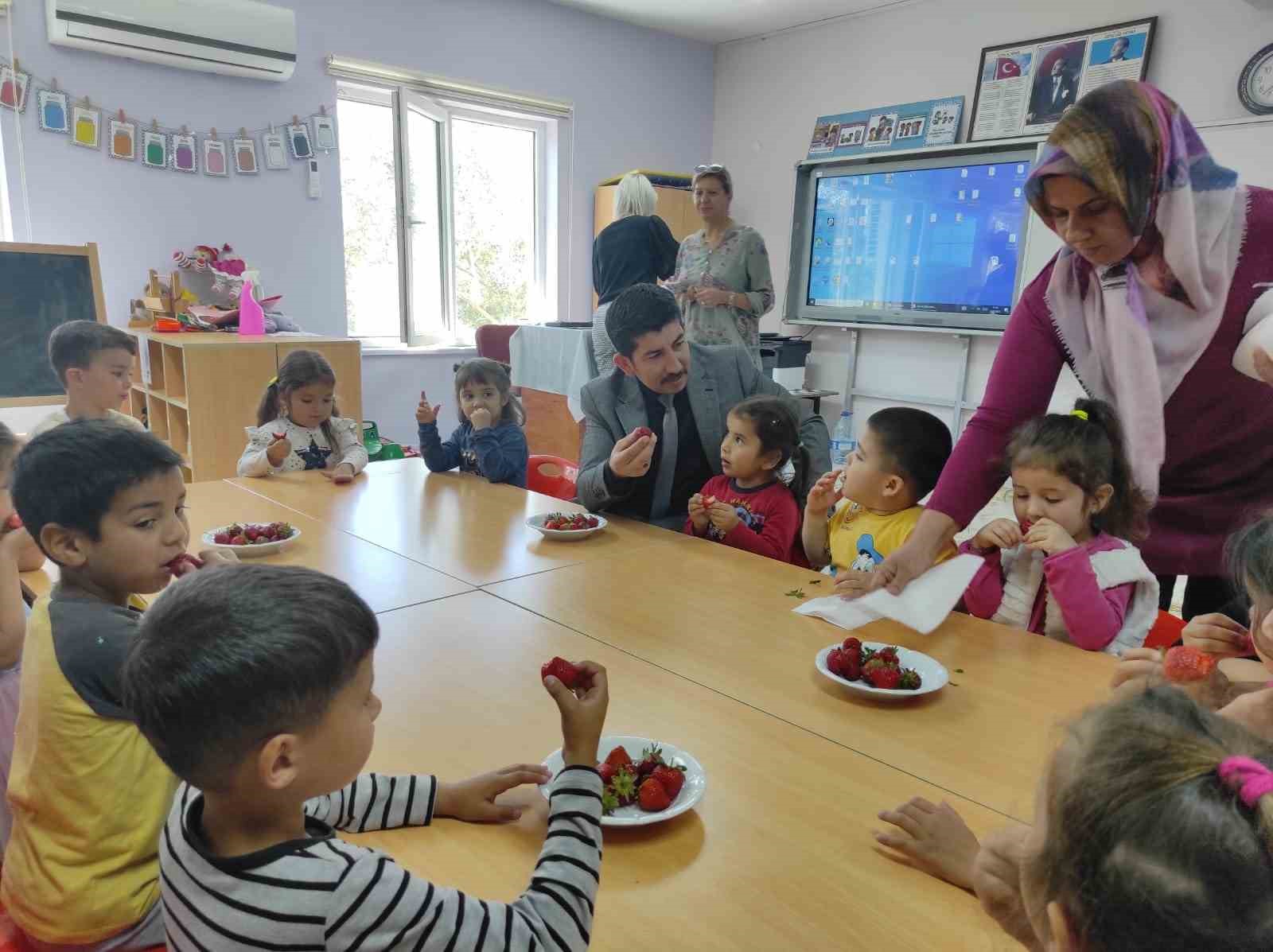 Köyceğiz’de öğrenciler çilek hasadı yaptı