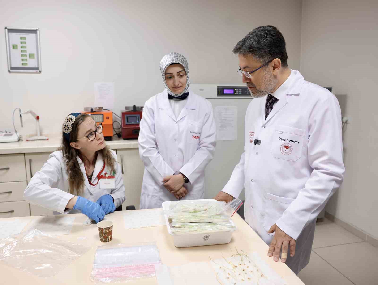 T&uuml;rkiye&rsquo;nin genetik materyali &ldquo;Banka&rdquo;larda korunuyor
