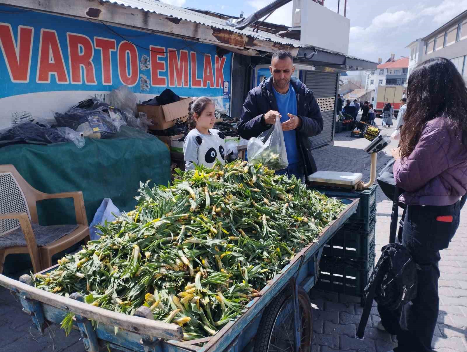 Baharın müjdeleyicisi gülbahar bitkisi tezgâhlarda yerini aldı
