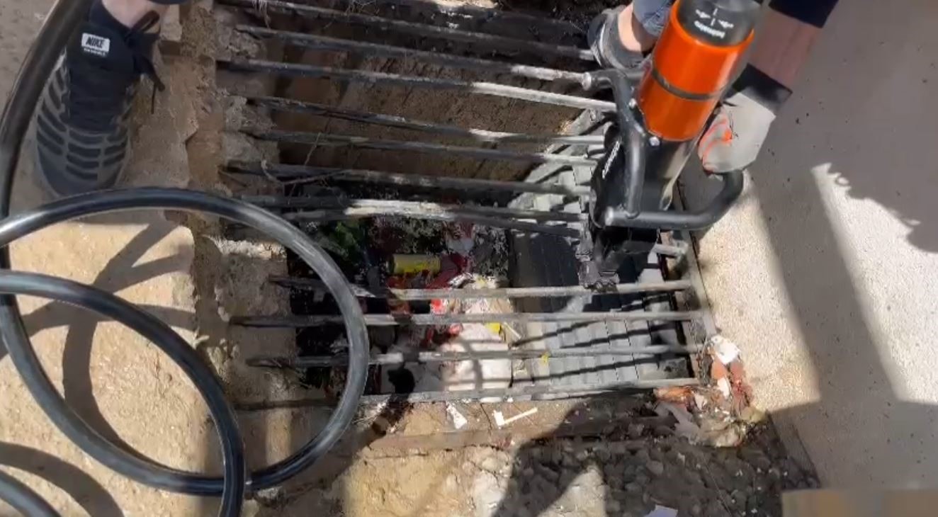 Atık su giderine yavrulayan anne kedi ve yavruları kurtarıldı
