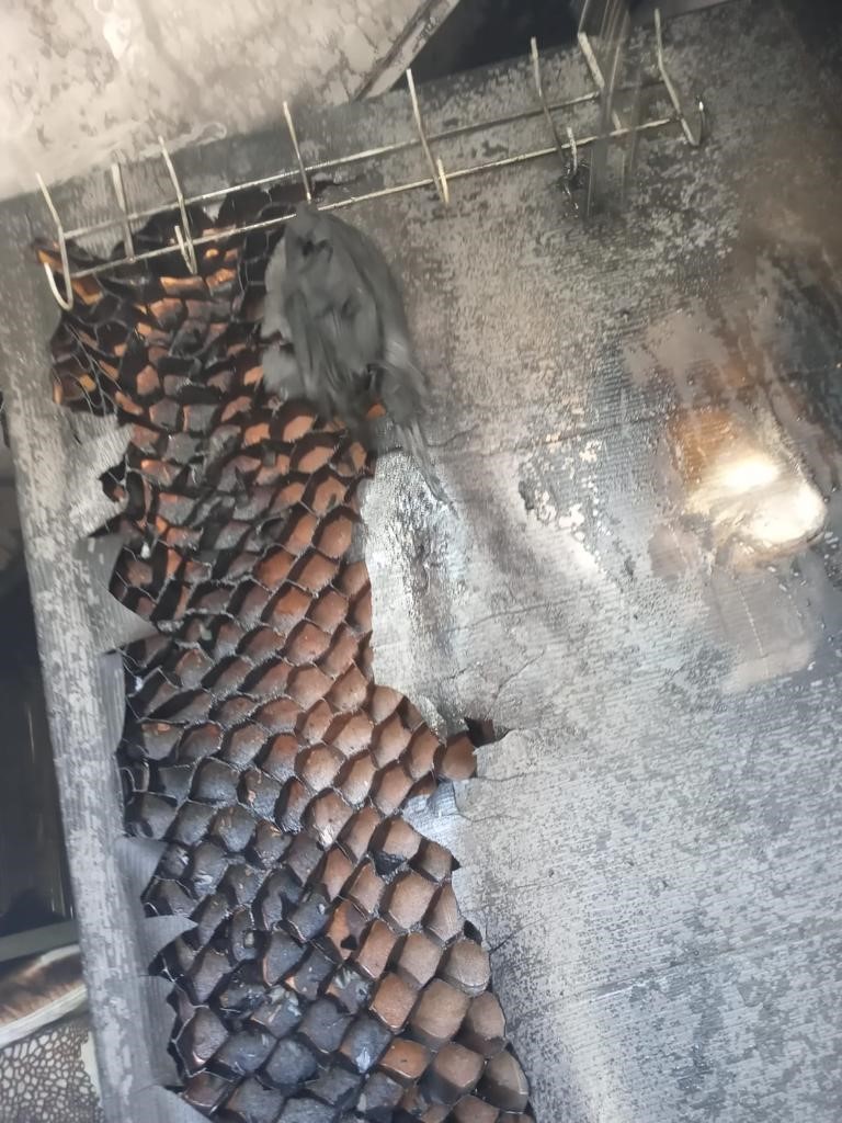 Antakya’da çıkan konteyner yangını söndürüldü