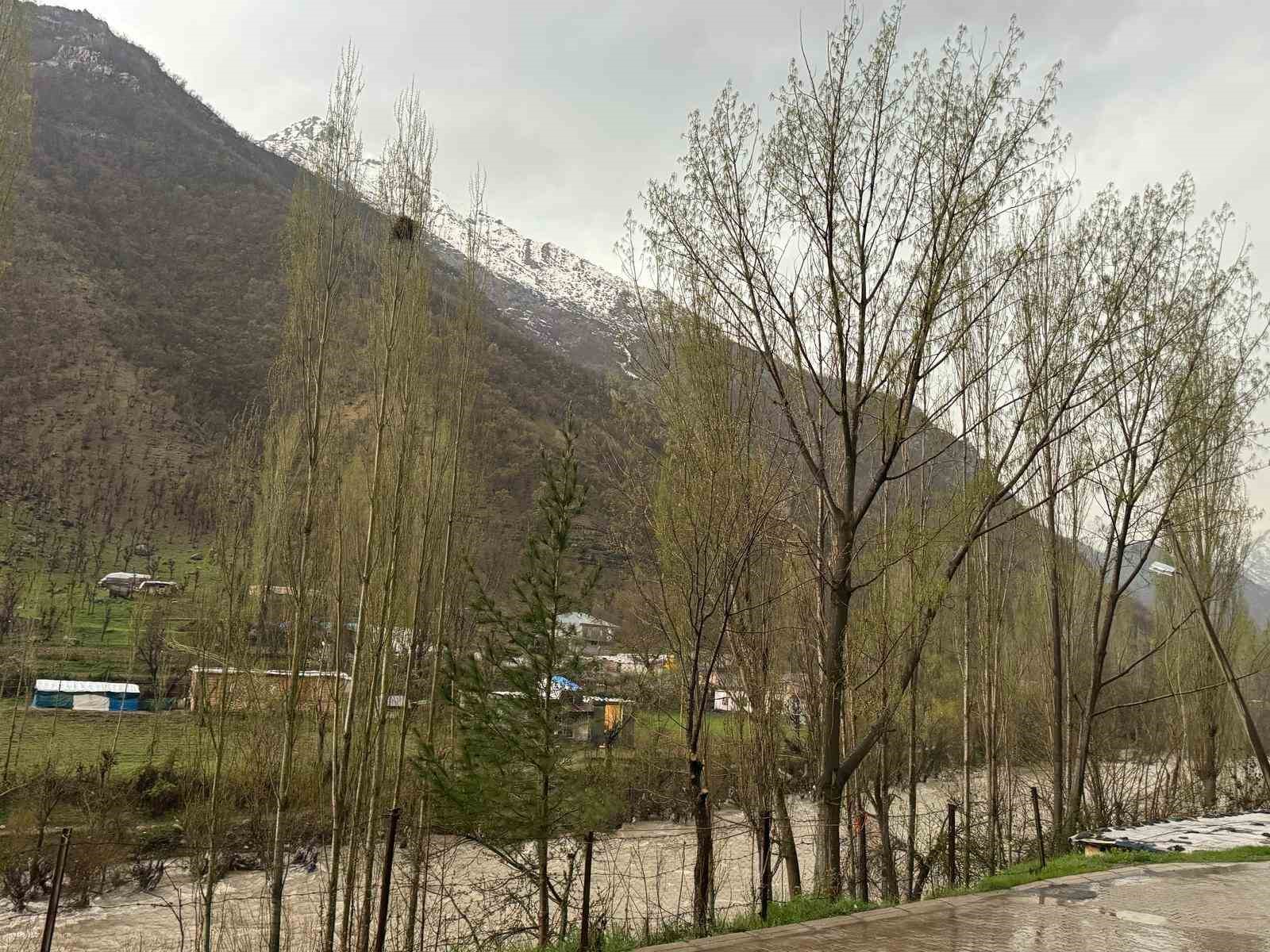 Şırnak’ta dolu yağışı etkili oldu