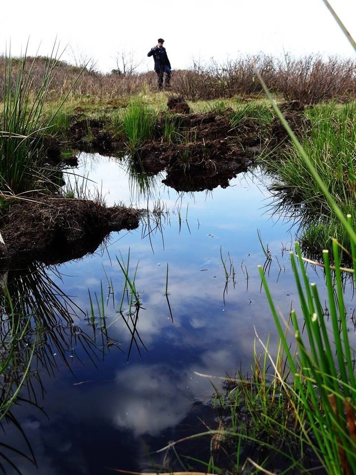 Turba çıkarım faaliyetleri için yönetmelikte değişikliğe gidilecek