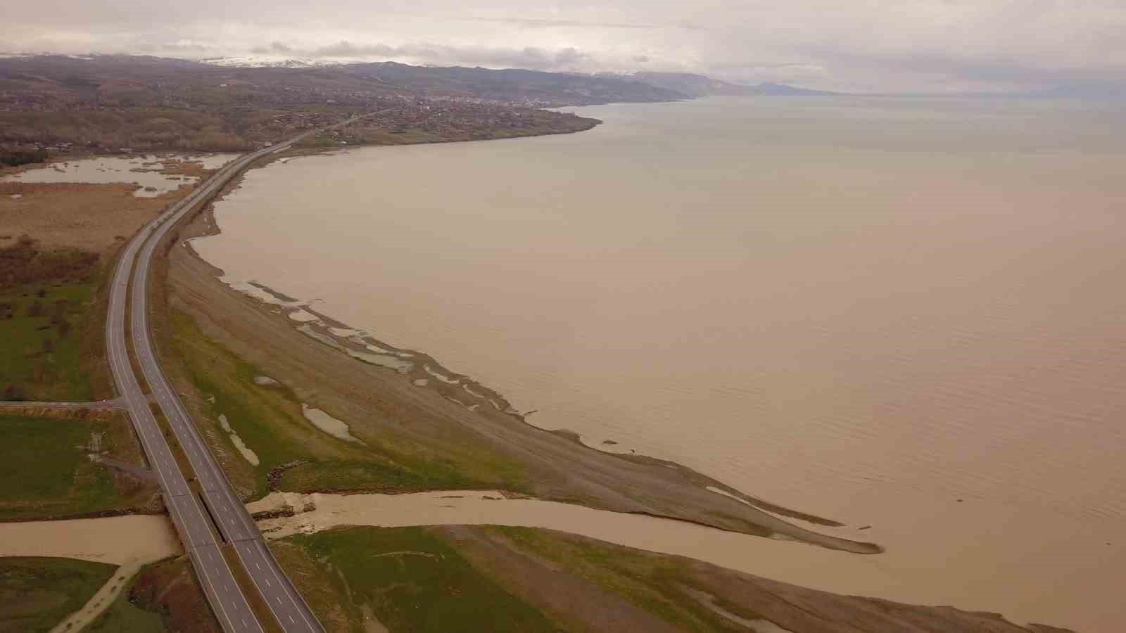 Ahlat’ta Van Gölü kahverengiye boyandı