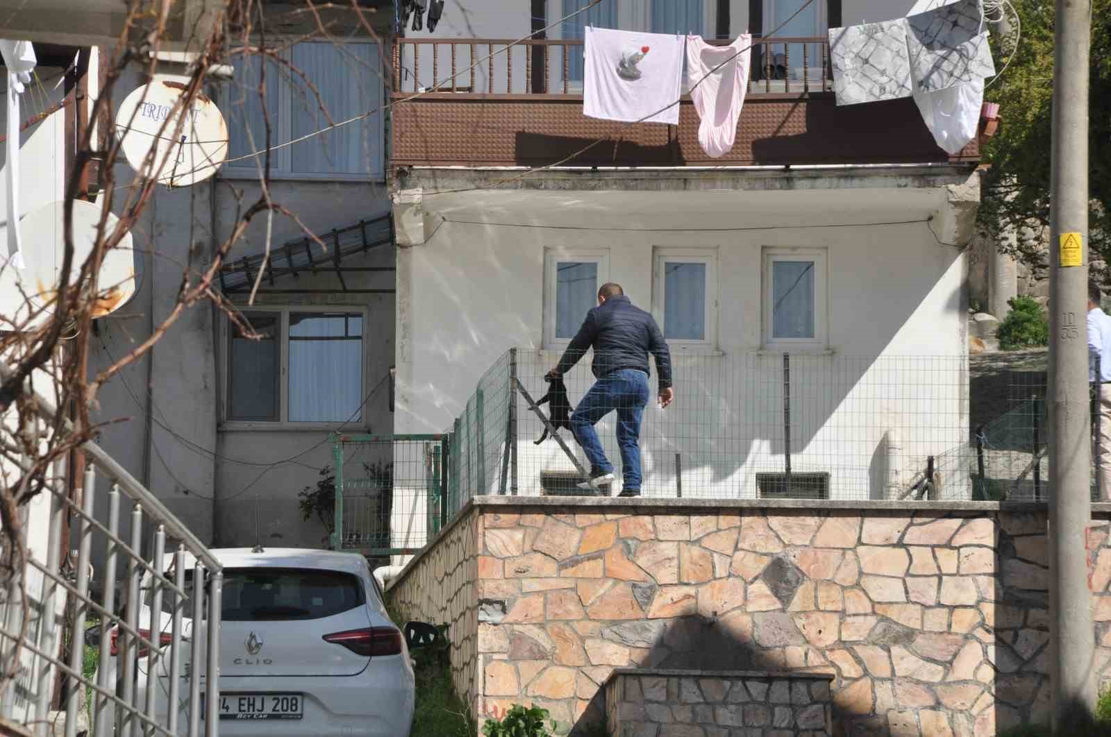 Havuzda boğulmak üzere olan yavru köpeği vatandaşlar kurtardı
