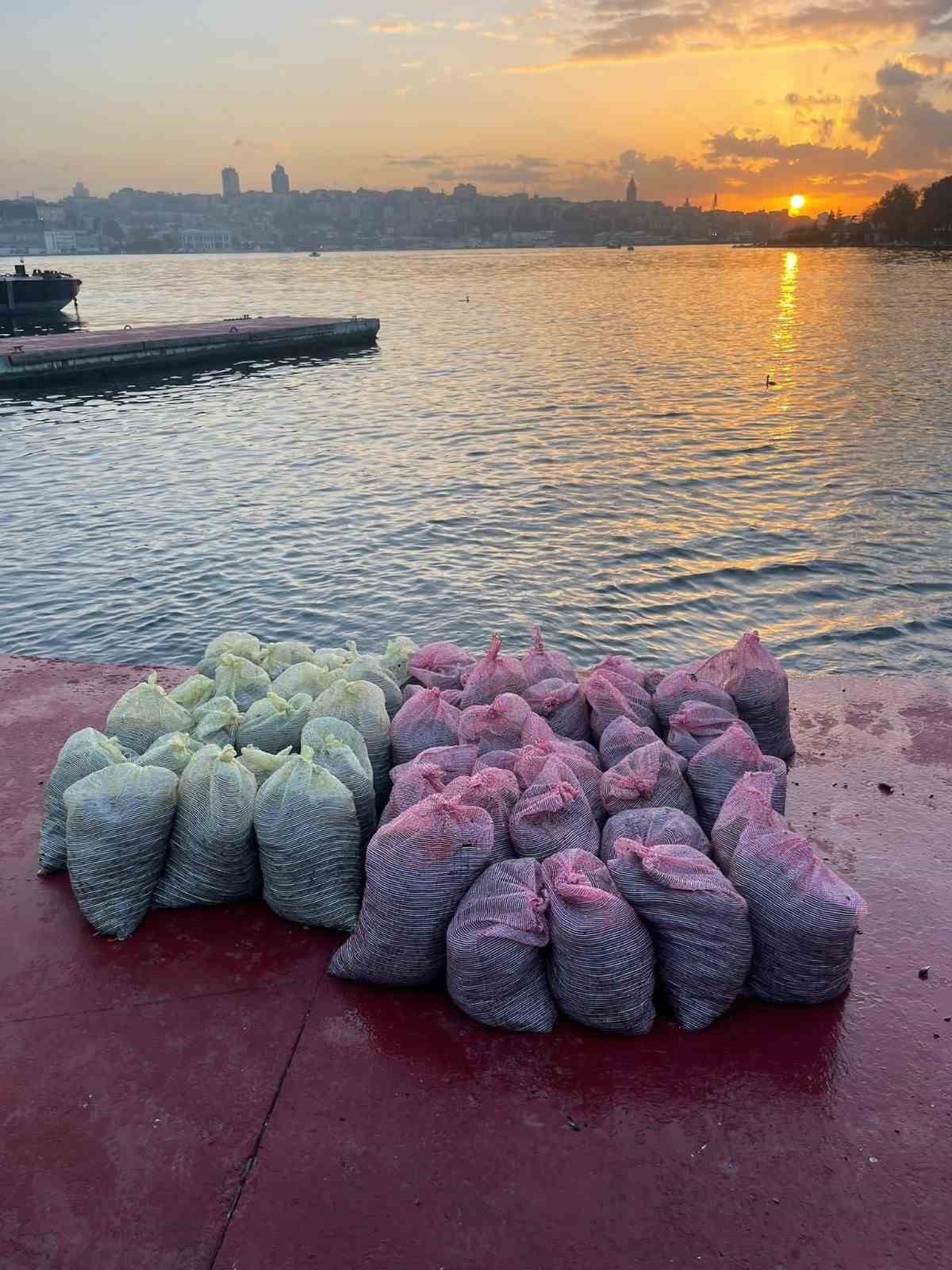 Üsküdar’da 1 buçuk ton kaçak midye ele geçirildi

