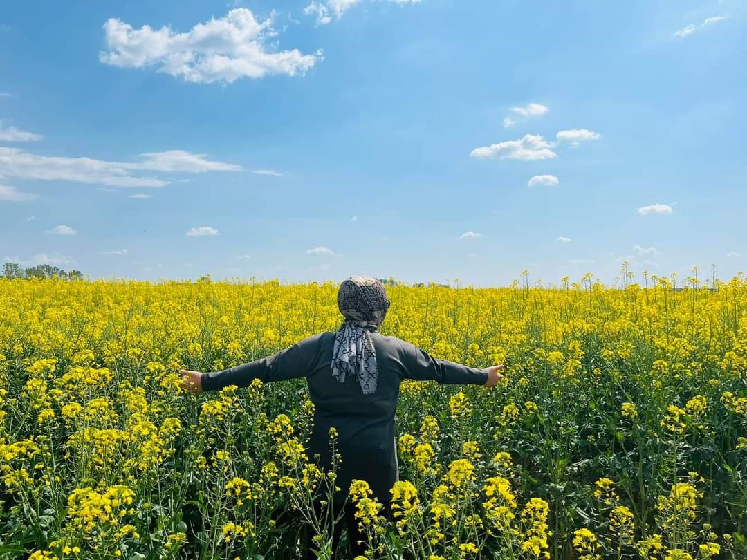 Kırklareli&rsquo;nde &ccedil;i&ccedil;ek a&ccedil;an kanola bitkisi tarlaları sarıya boyadı
