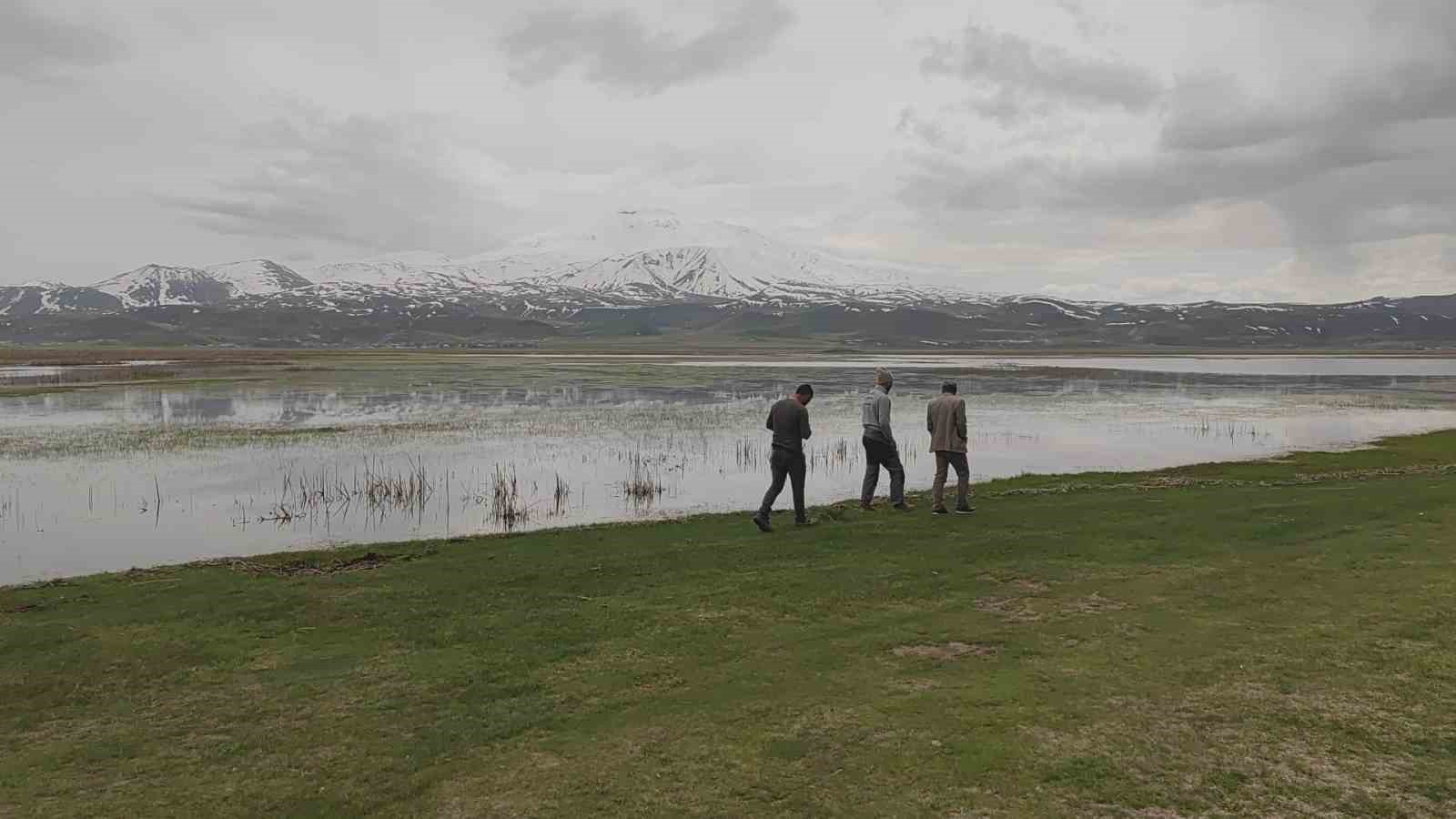 Sarısu Ovası&rsquo;nın karlı S&uuml;phan Dağı&rsquo;yla kartpostallık g&ouml;r&uuml;nt&uuml;s&uuml;
