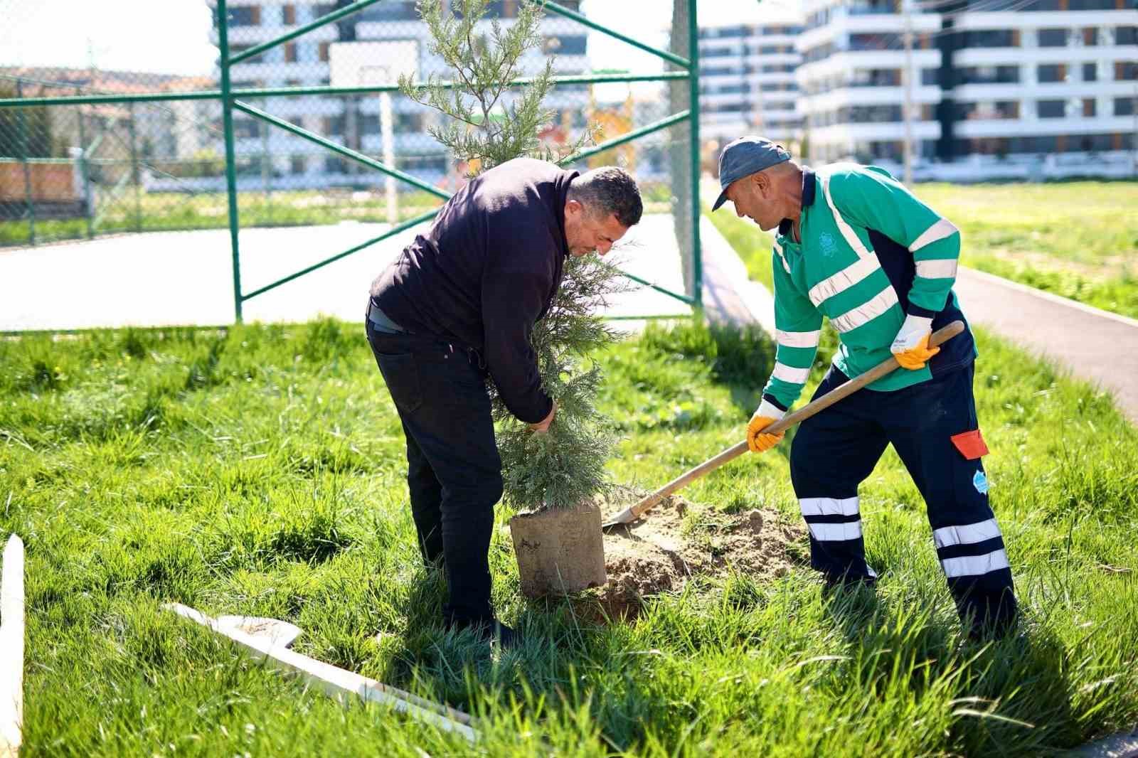 Aksaray&rsquo;da ağa&ccedil; dikme seferberliği başlatıldı
