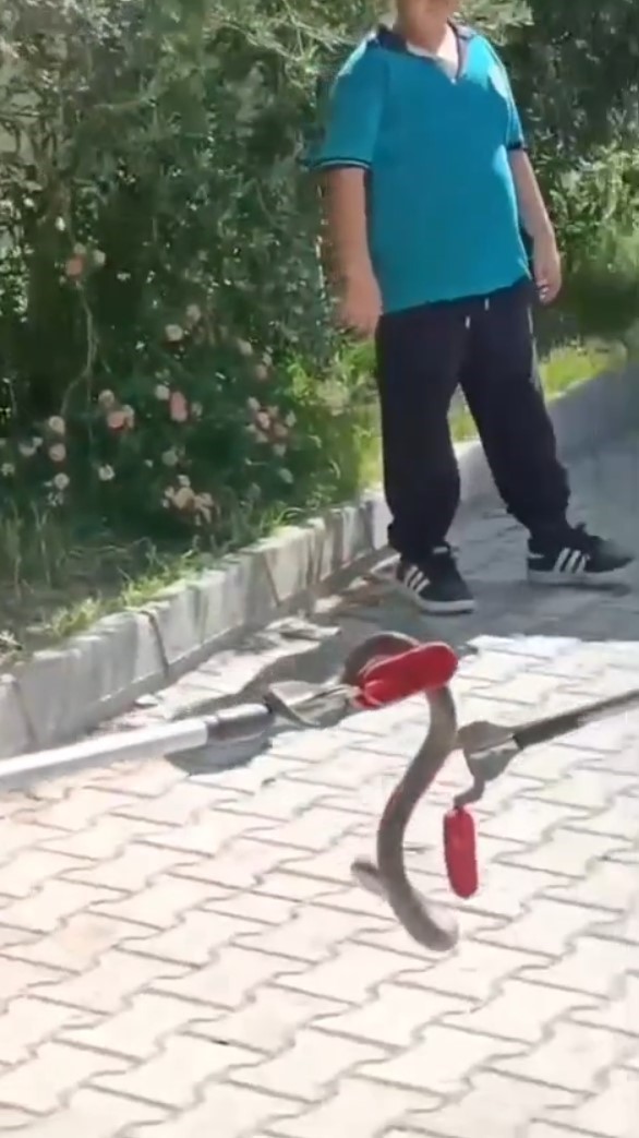 Okul bahçesindeki yılanı itfaiye ekipleri yakaladı
