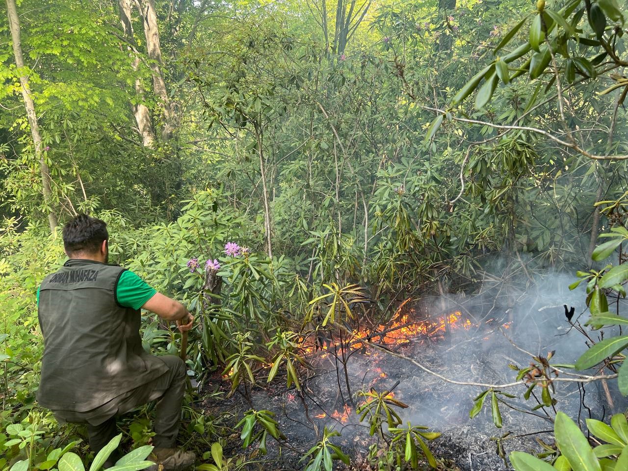 Bahçe temizliği için yakılan ateş, ormanın 5 dönümlük alanında tahribata yol açtı
