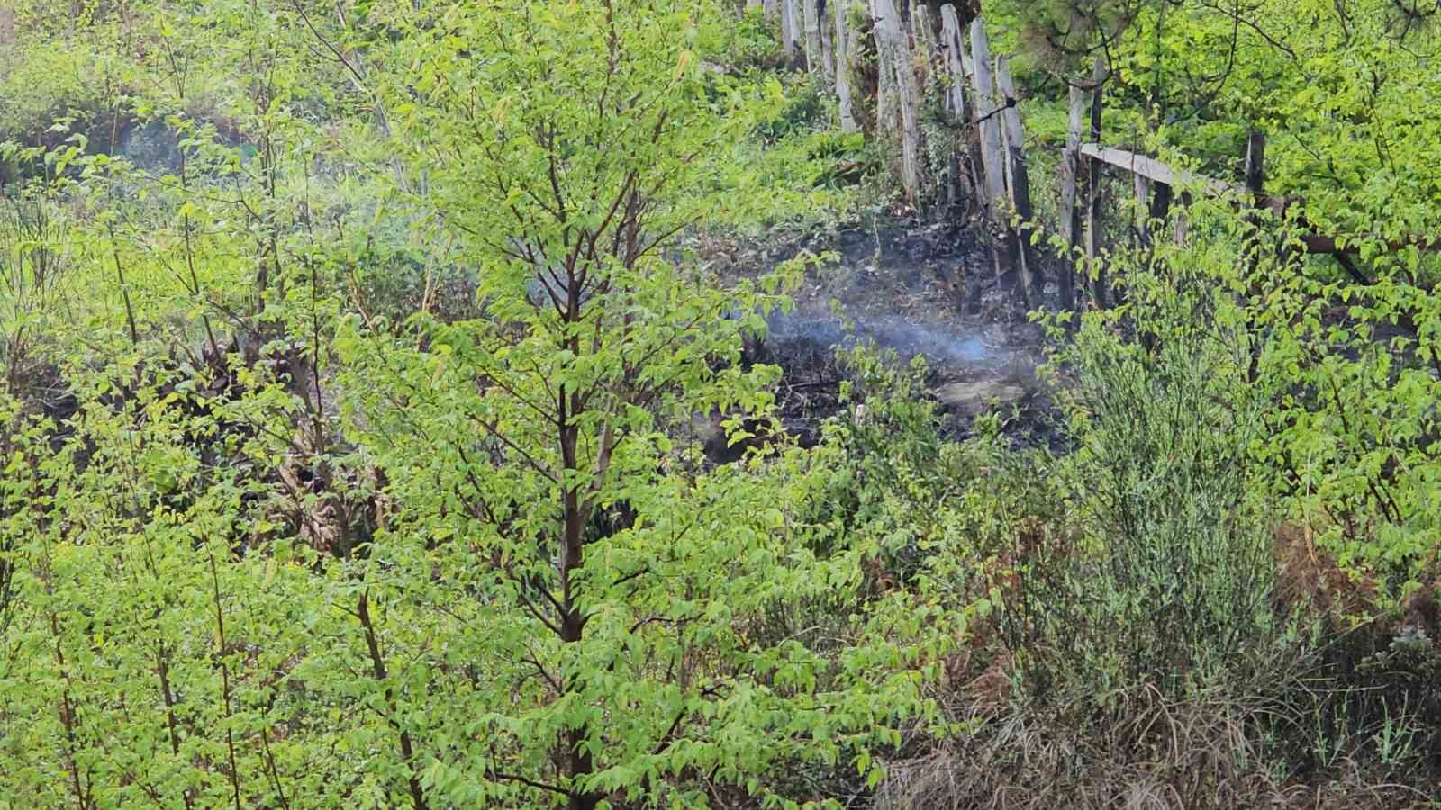 Kastamonu’da korkutan orman yangını: Büyümeden söndürüldü
