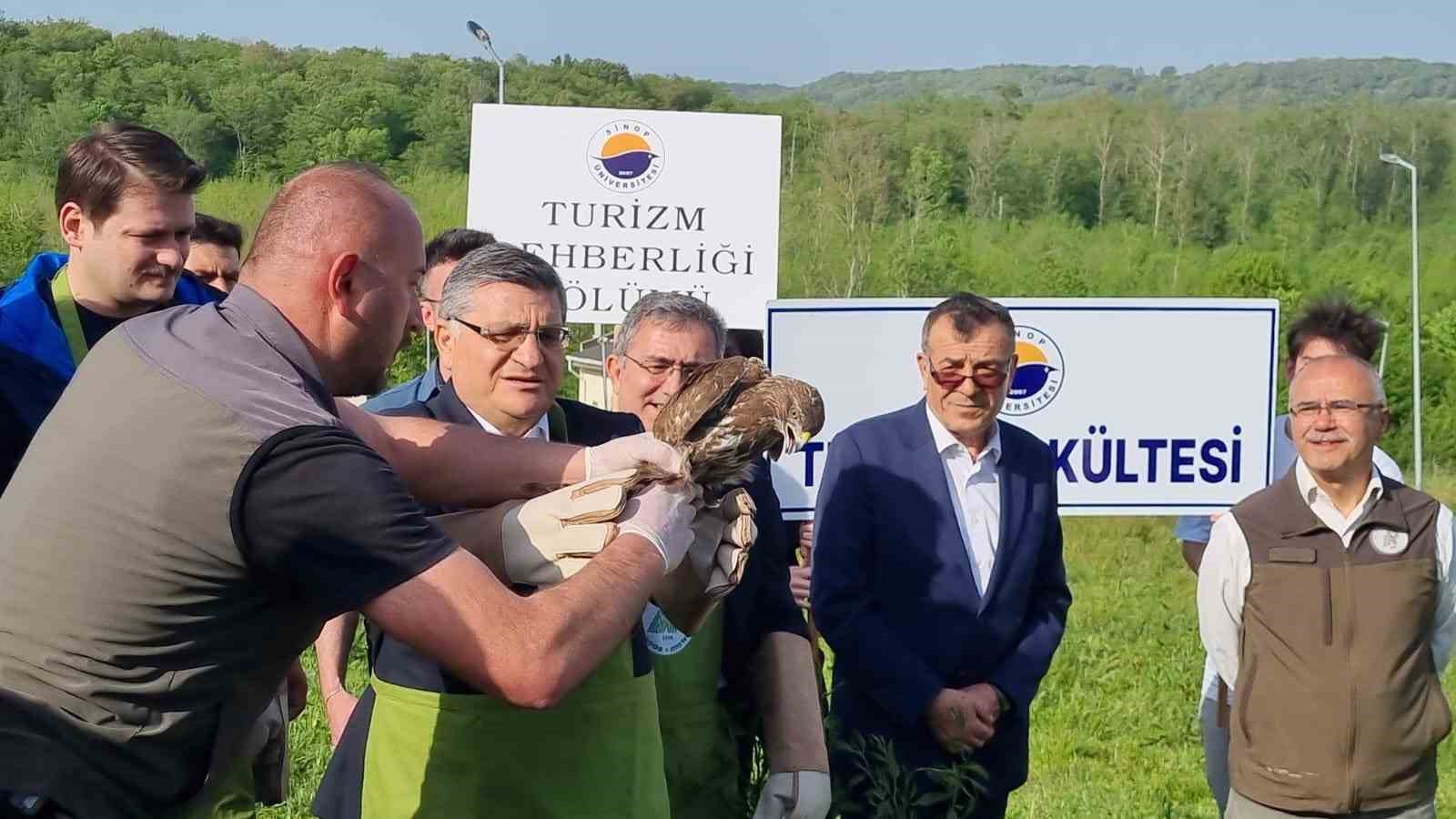 Sinop’ta yaraları tedavi edilen doğaya salındı
