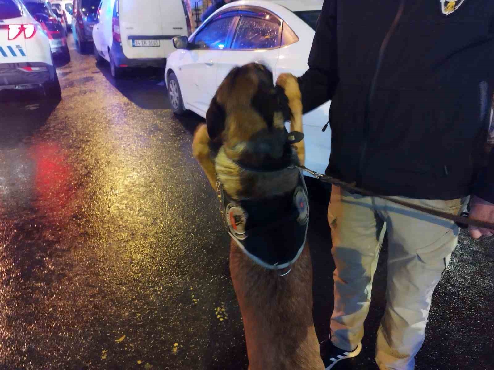 Kadıköy’de narkotik köpeği "Giz" ile ’Huzur ve Güven İstanbul’ uygulaması yapıldı
