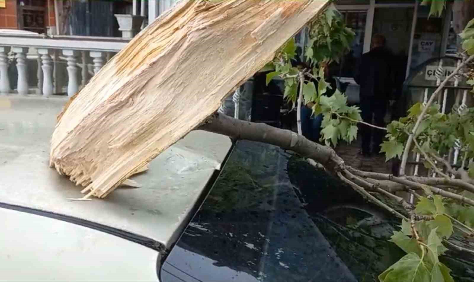 Şiddetli rüzgara dayanamayan ağaç otomobilin üzerine düştü

