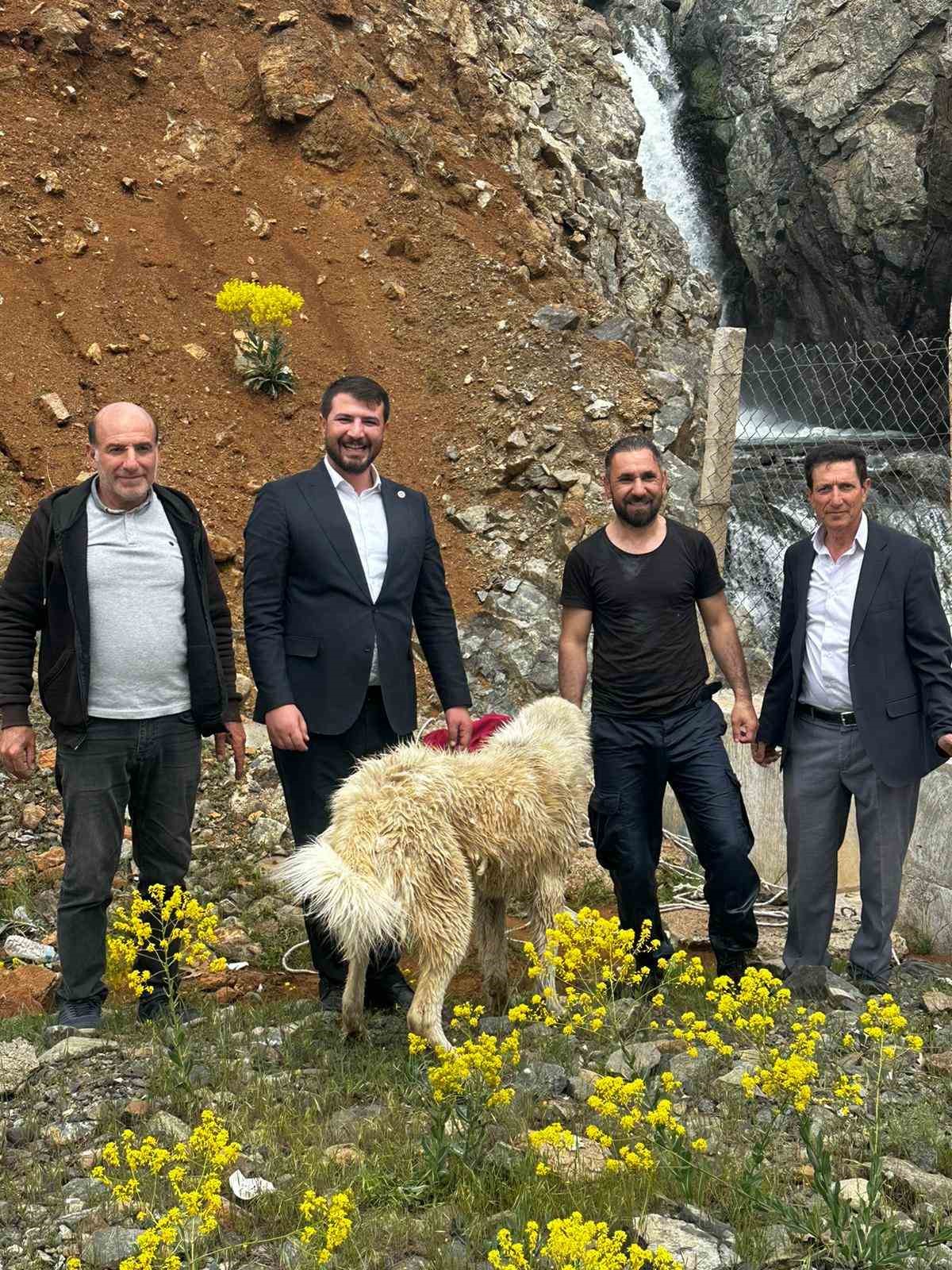 İhbar kendisine geldi, belediye başkanı köpek kurtarma operasyonuna katıldı
