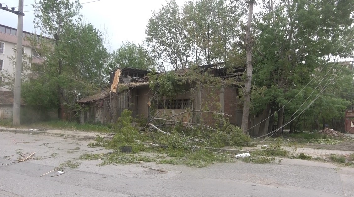 Bafra&rsquo;da fırtına ağa&ccedil;ları devirdi
