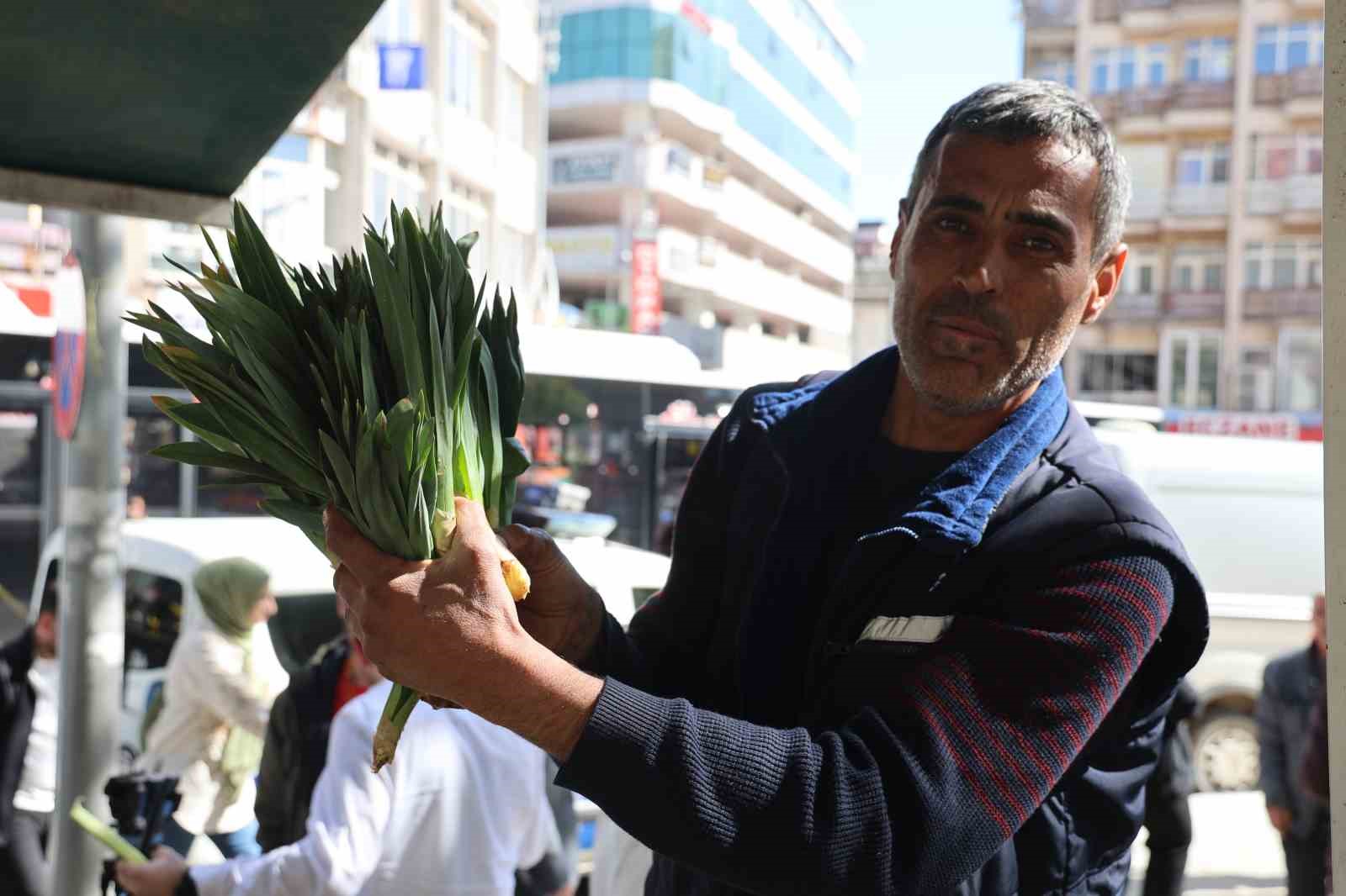 Yılda 2 ay hasadı yapılan ‘çiriş otu’ tezgahtaki yerini aldı