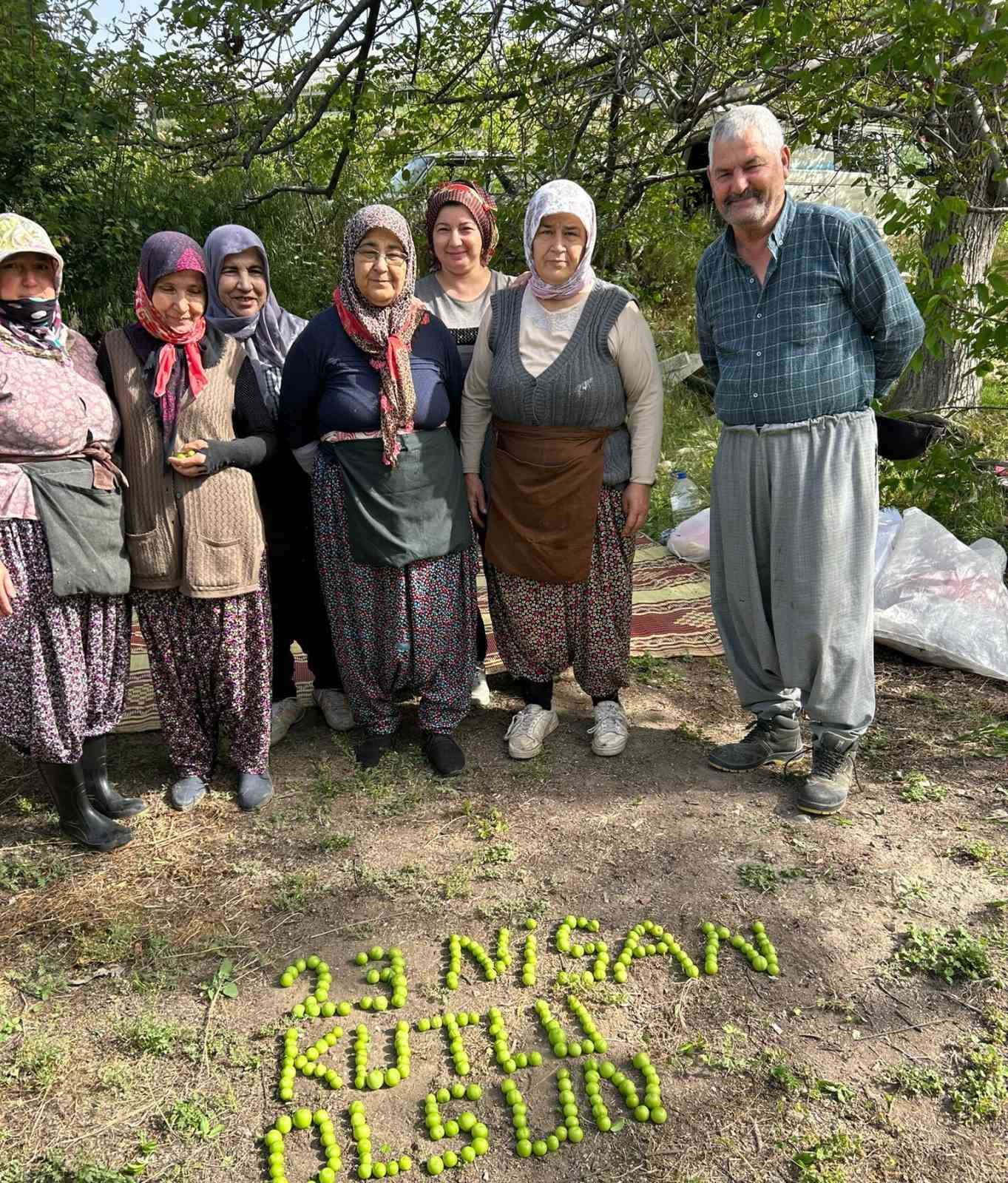 Tarım işçileri 23 Nisan’ı erik hasadı yaparken kutladılar
