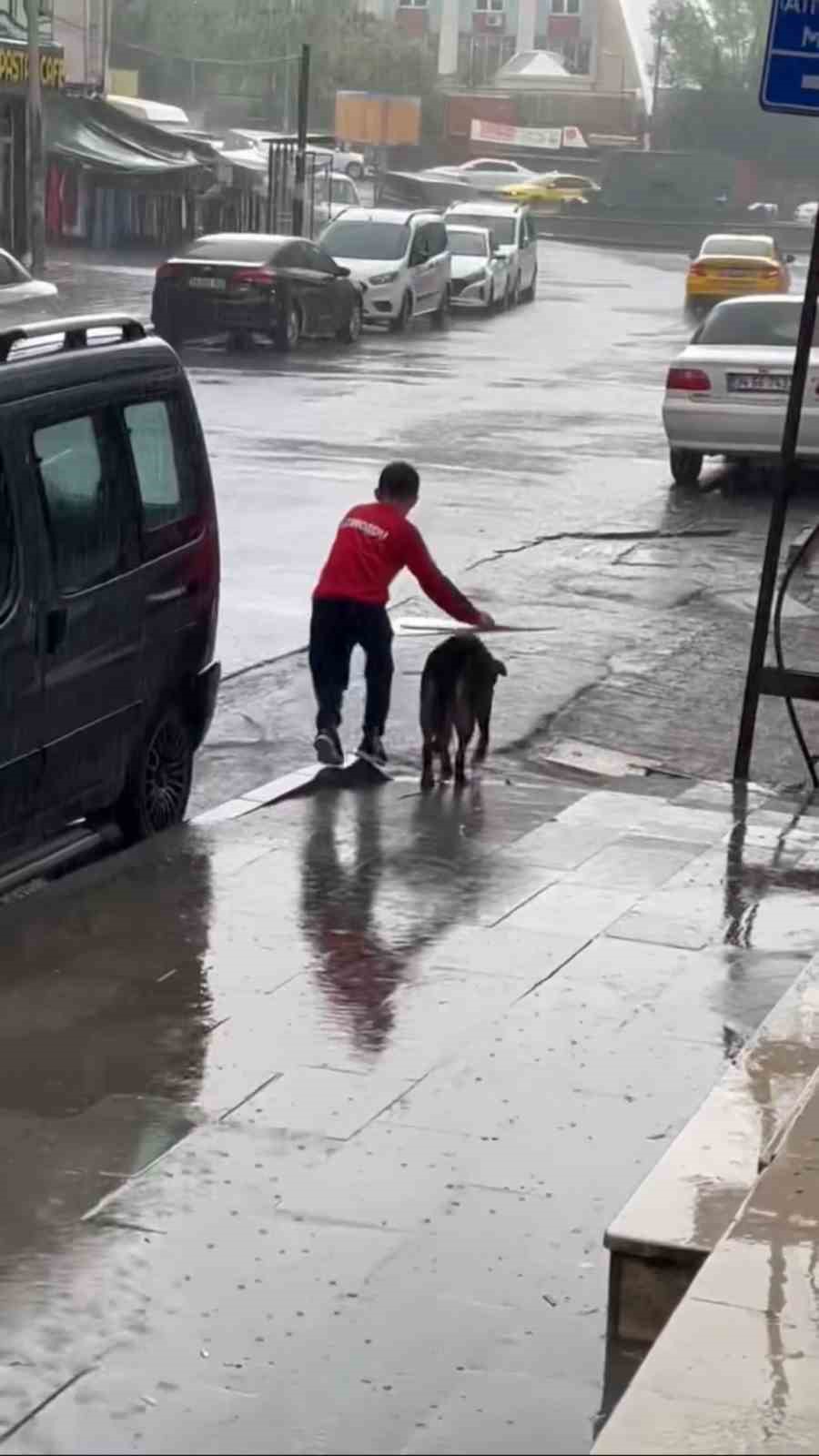 Yağmurda köpeği ıslamaktan koruyan Ayaz o anları anlattı
