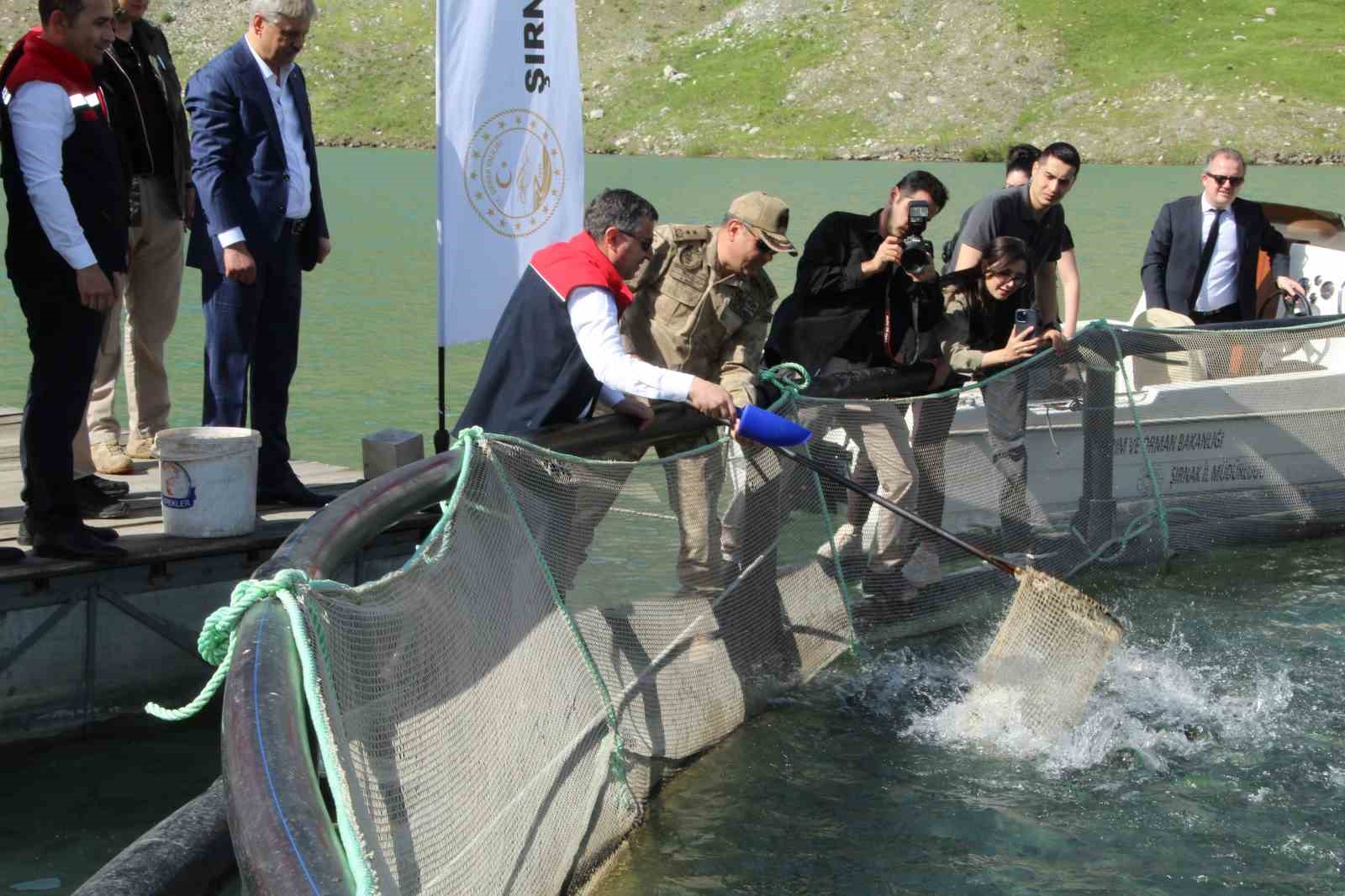 Şırnak’ta kafeslerden 30 ton balık hasat edildi