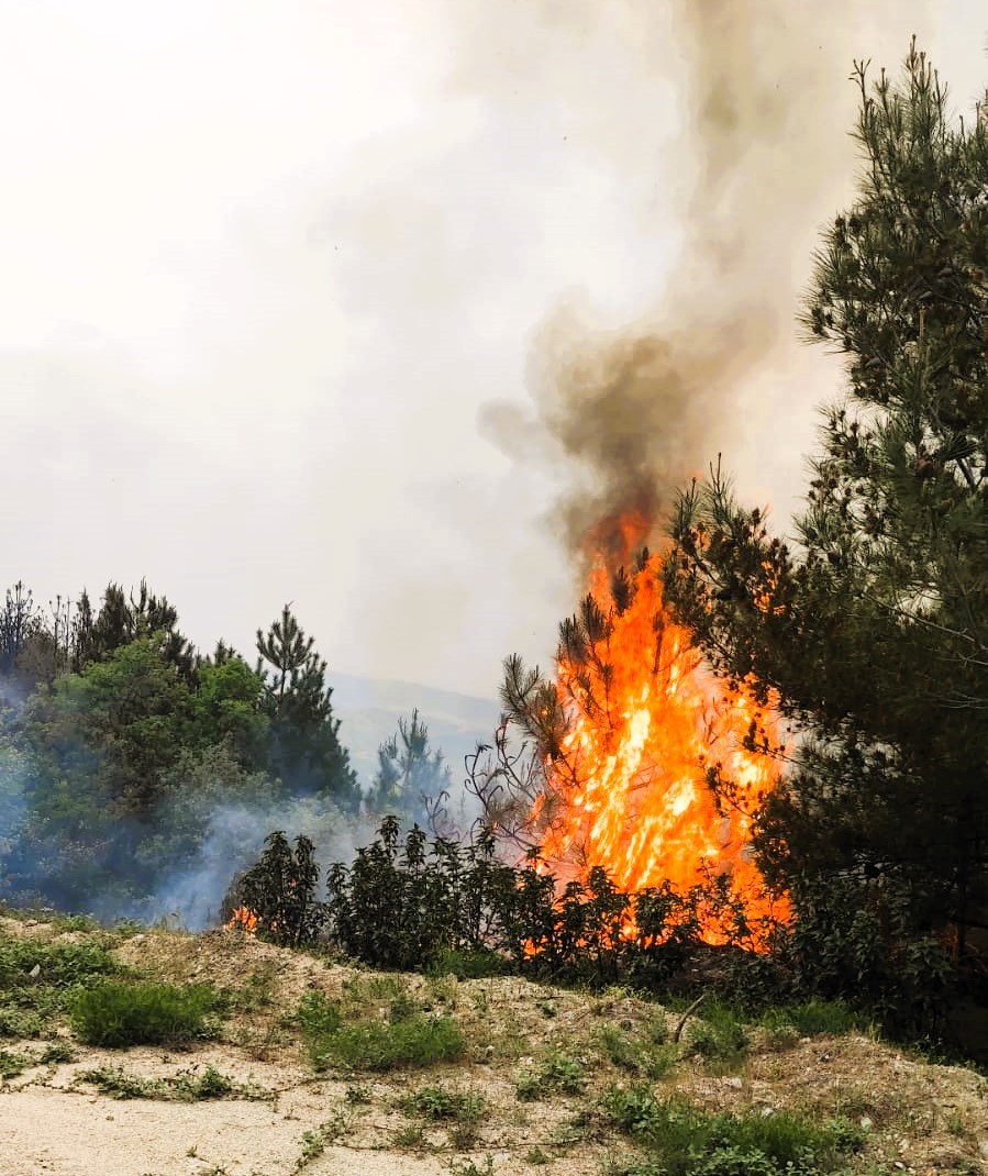 Denizli’de sezonun ilk orman yangını büyümeden söndürüldü
