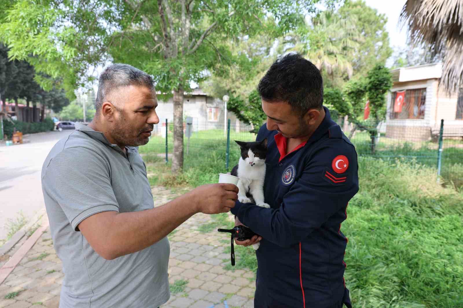 Ağa&ccedil;ta mahsur kalan kediyi itfaiye ekipleri kurtardı
