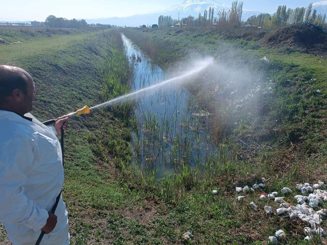 Iğdır belediyesinden sivrisinek ve haşerelere karşı ilaçlama
