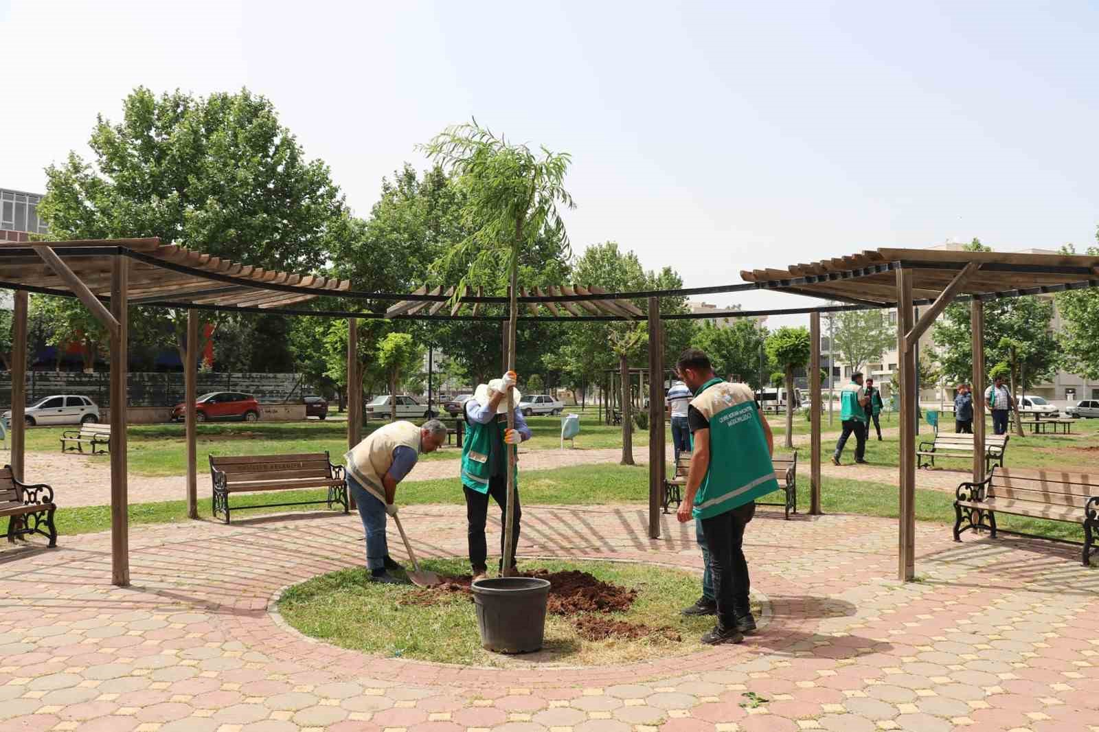 Haliliye’de parklar yaza hazırlanıyor
