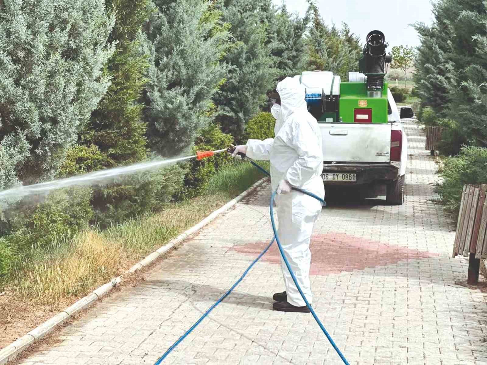 Sungurlu&rsquo;da vekt&ouml;rel m&uuml;cadele &ccedil;alışmaları hızlandı
