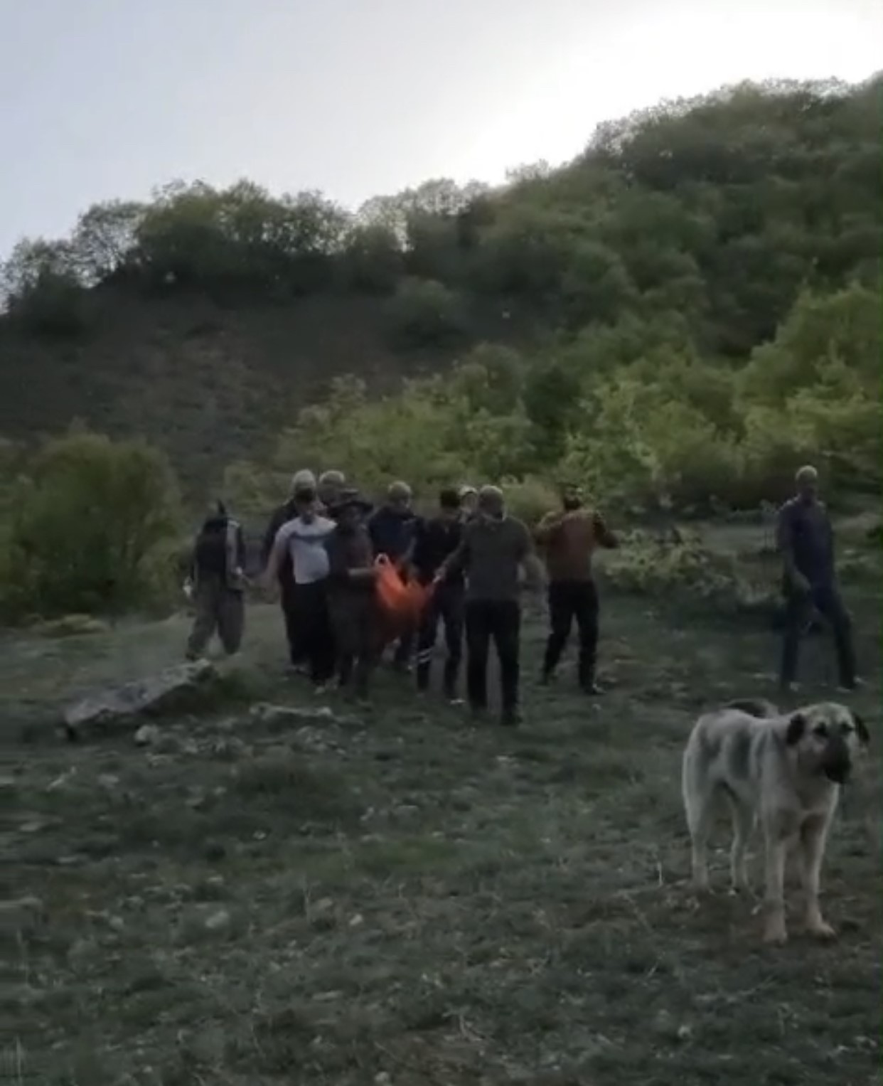 Tunceli’de ayının saldırısına uğrayan adam yaralandı

