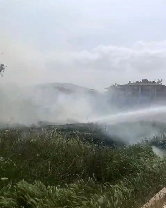 Elazığ’da otluk alanda yangın