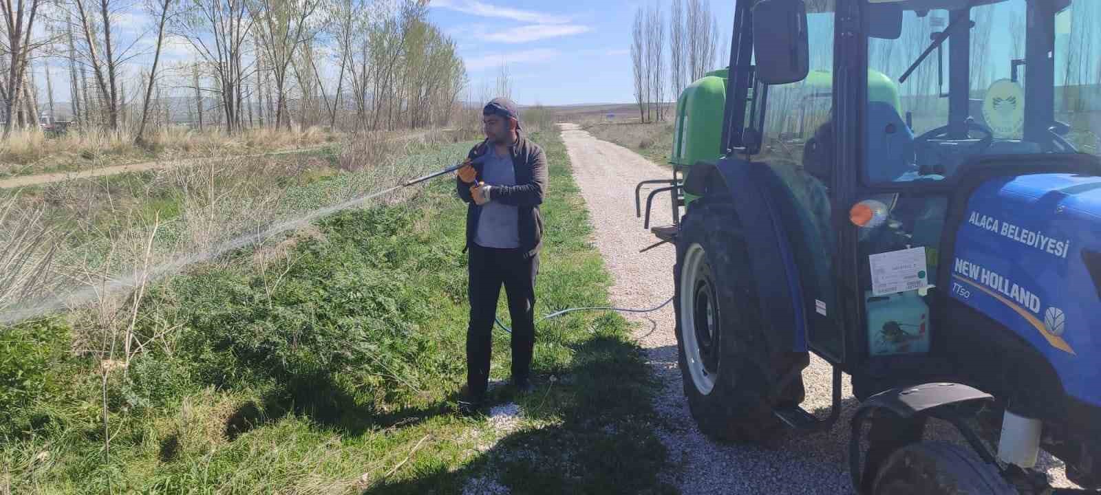 Alaca Belediyesi’nden haşere ile mücadele