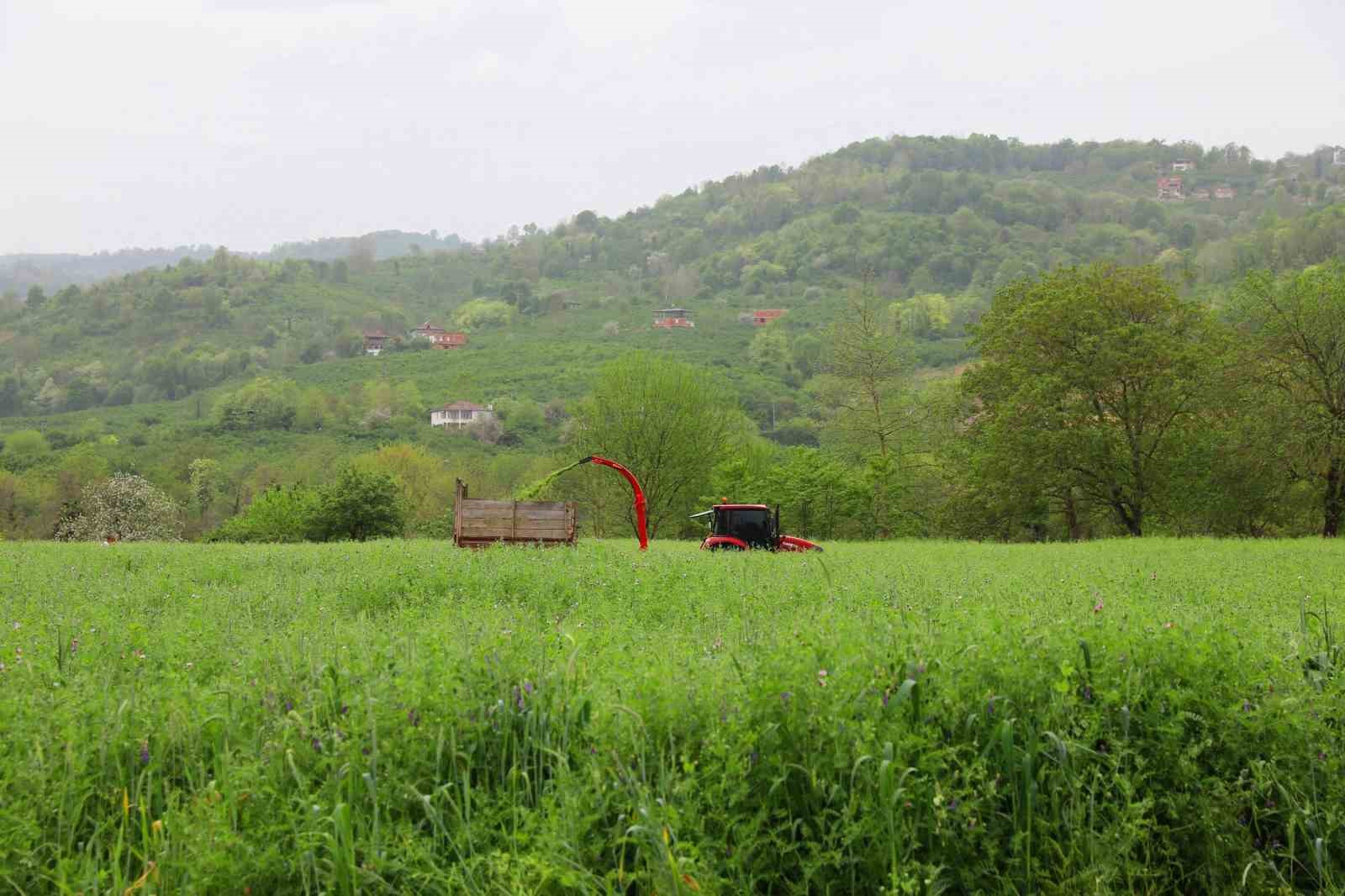 Ordu’da Büyükşehrin tarım makineleri çalışıyor