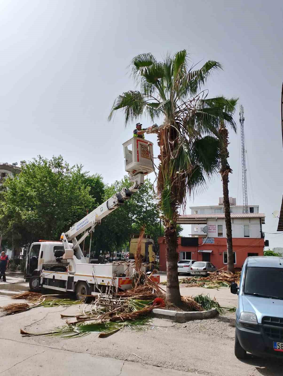 Osmaniye Belediyesi bahar temizliğinde
