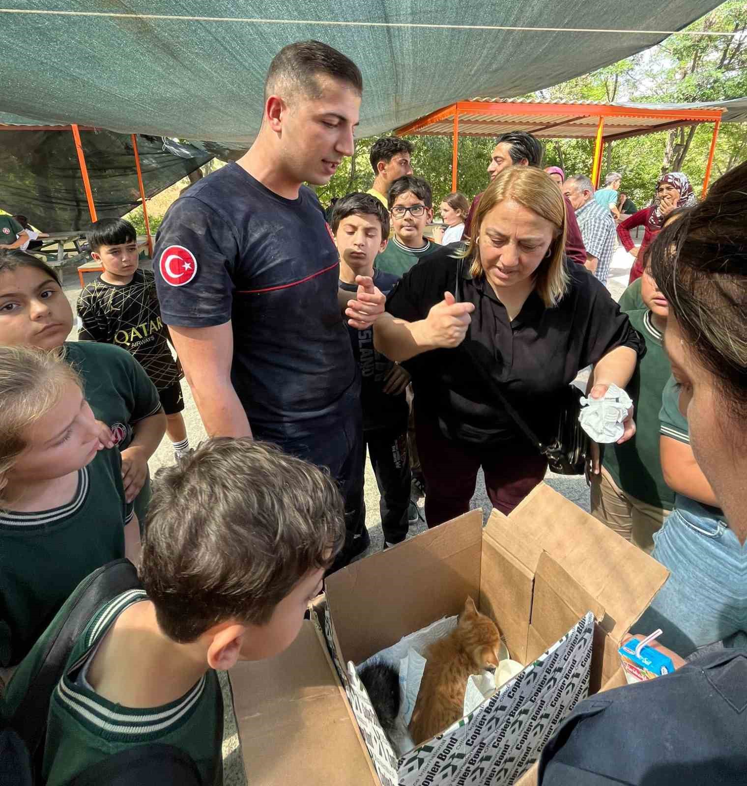 &Ccedil;atıda mahsur kalan yavru kediler kurtarıldı
