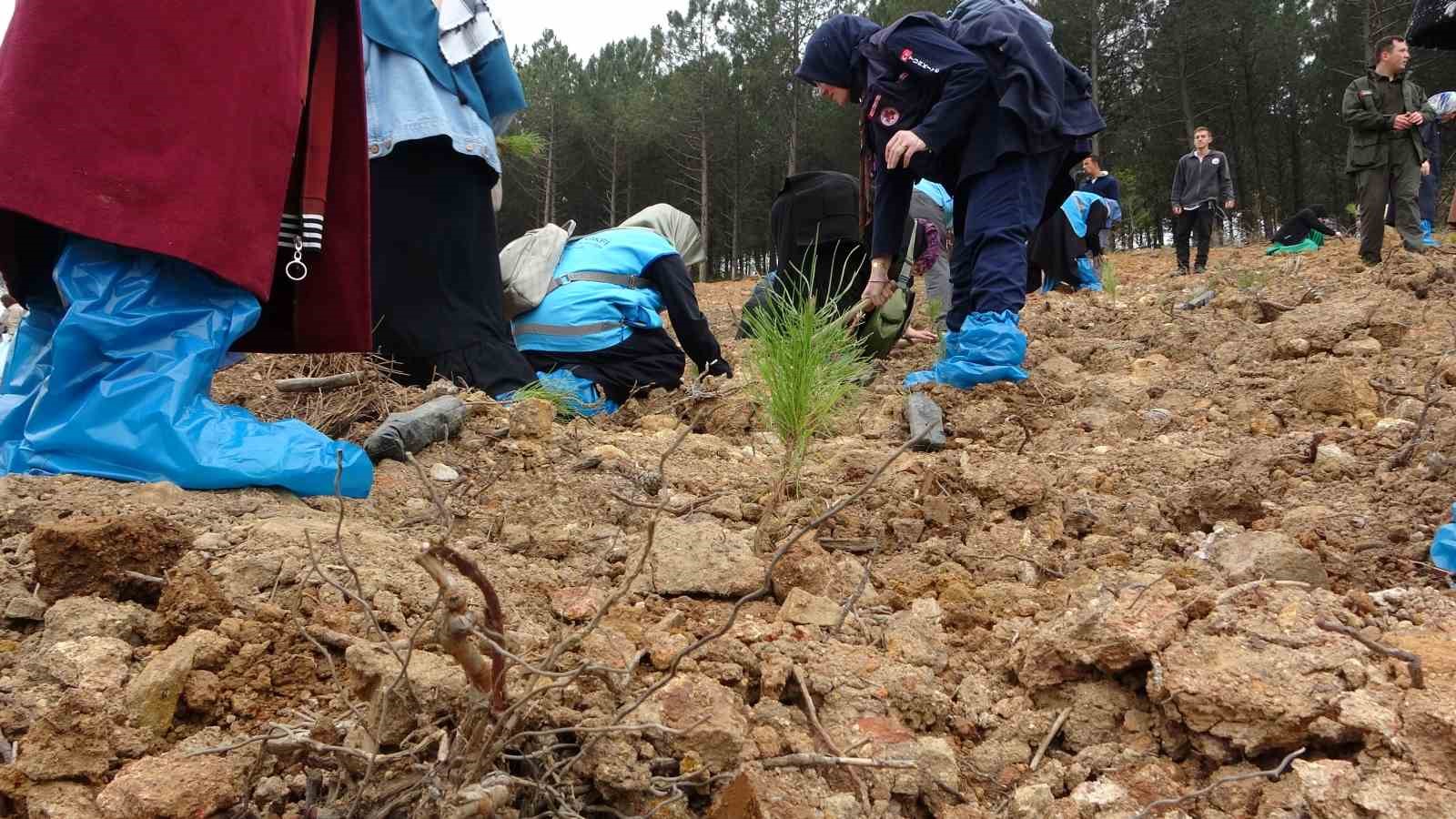 Şile’de 10 bin fidan, Filistinli şehitler için toprakla buluşturuldu
