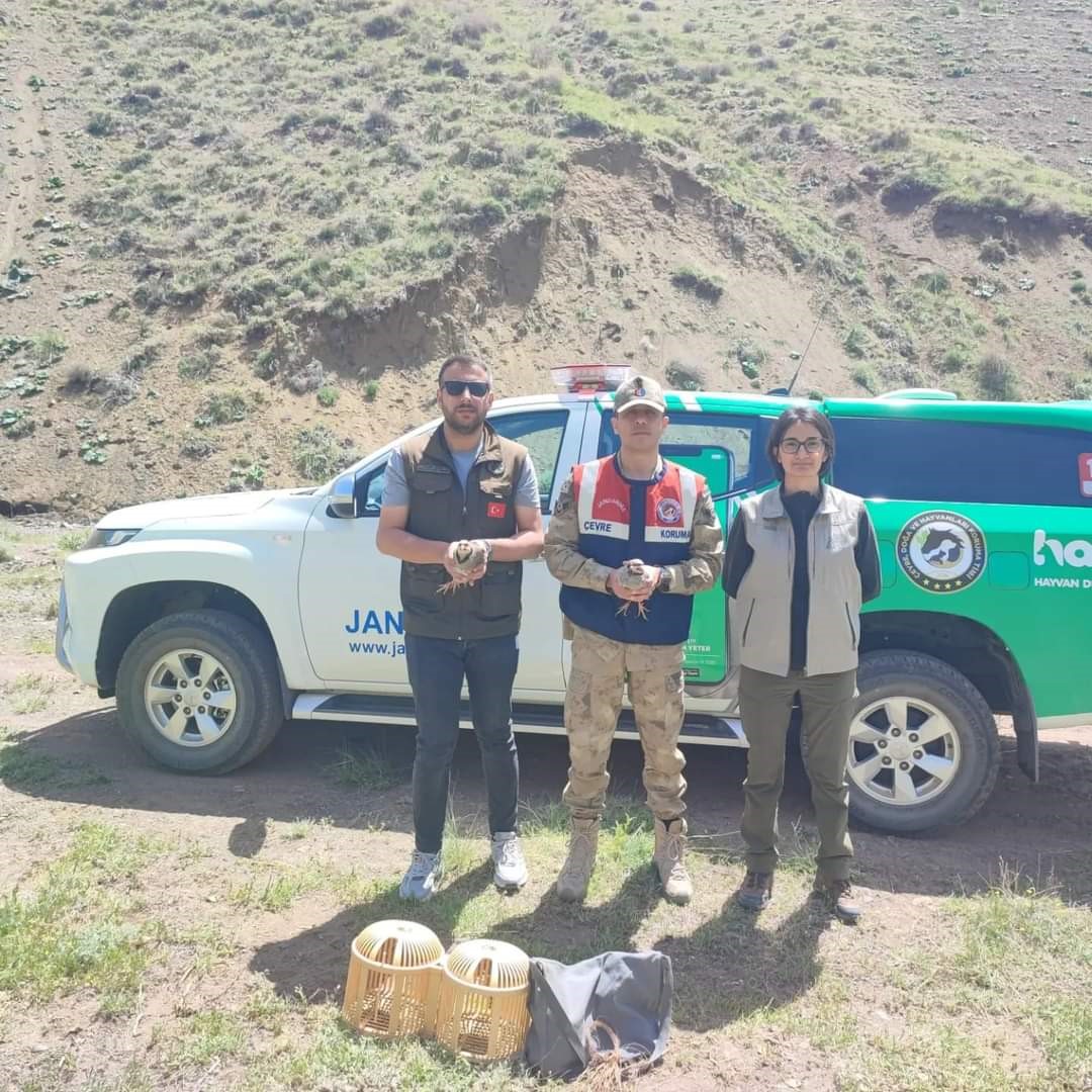 Bitlis&rsquo;te keklik avlayan 2 kişiye 26 bin 635 lira para cezası uygulanacak
