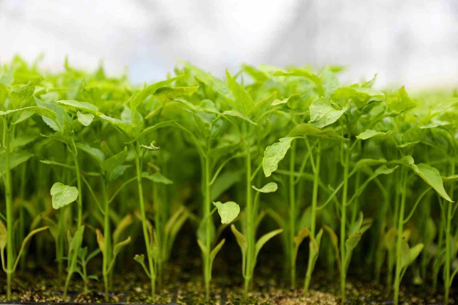 &rsquo;&Uuml;retici dostu&rsquo; belediye
