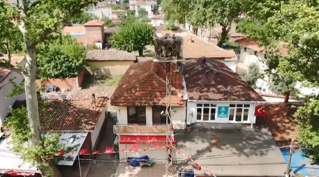 Naipli leylek, 20 yıldır bu k&ouml;yde yuva yapıyor
