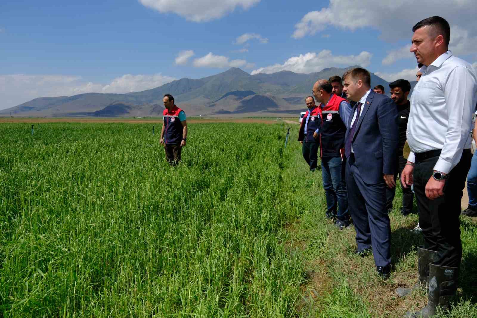 Vali Sarıibrahim, dolunun zarar verdiği arazilerde incelemelerde bulundu
