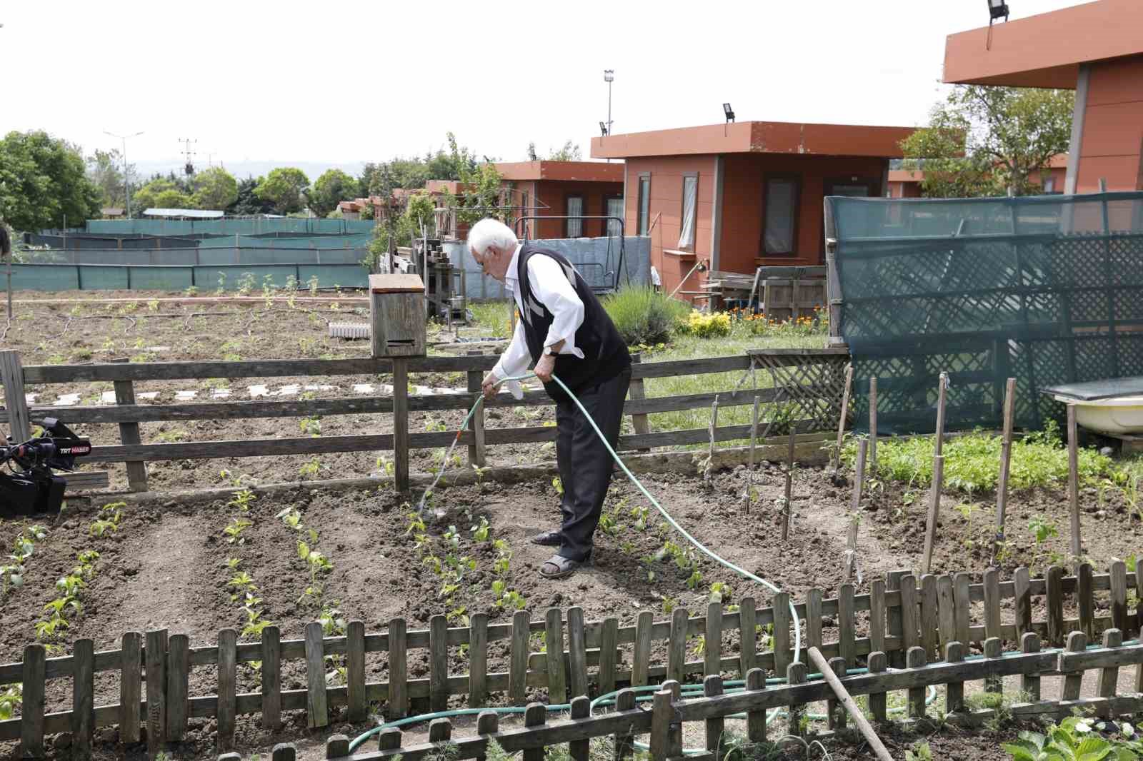 Bostan G&uuml;listan Hobi Bah&ccedil;esi&rsquo;nde ilk fideler toprağa ekildi
