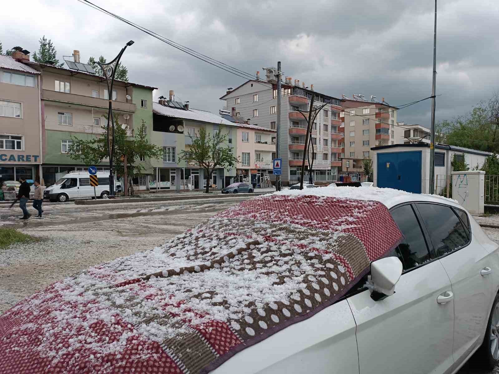 Hizan&rsquo;da dolu yağışı hayatı olumsuz etkiledi
