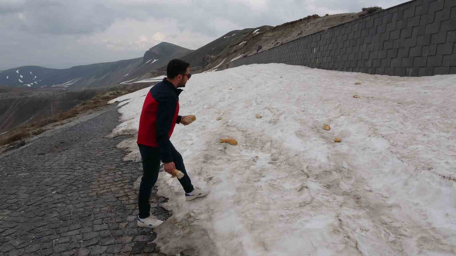 Karla kaplı Nemrut&rsquo;taki yabani hayvanlar unutulmadı
