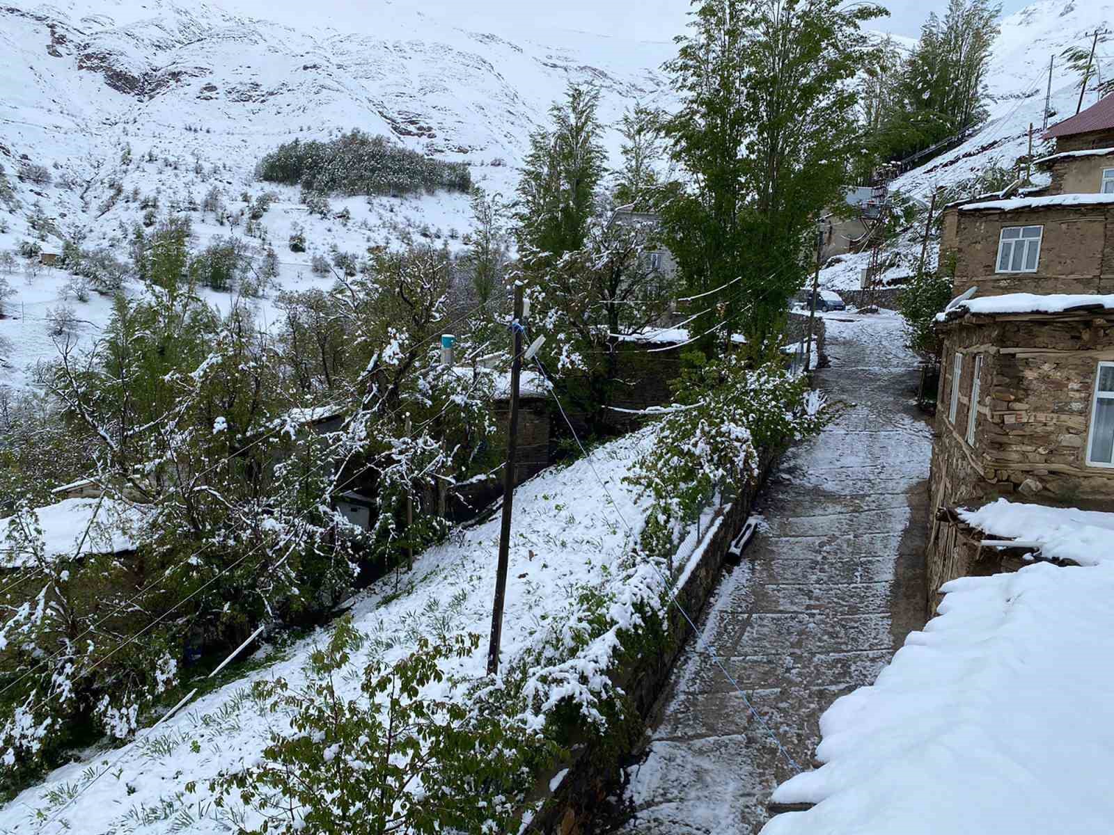 Van’a mayıs ayında lapa lapa kar yağdı
